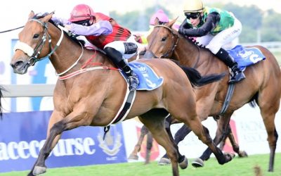 Boland Stud’s plethora of high class recent performers