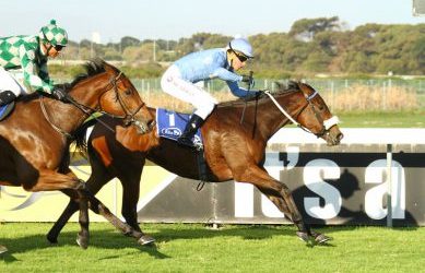 The Merry Widow sister a standout at NYS