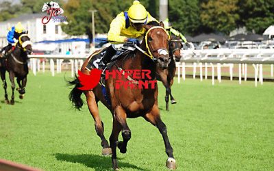 Boland Stud bred Order impresses again!