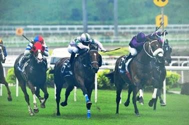Quality National Yearling Sale offering from Boland Stud