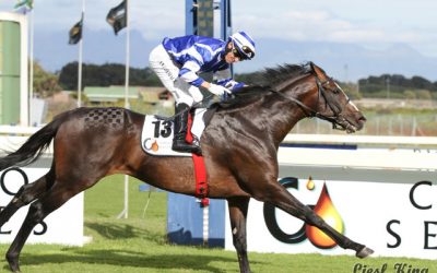 Social Order’s half-brother one to watch