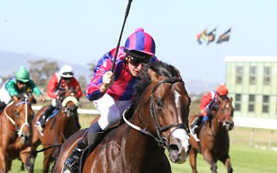 What A Winter – What a sire prospect!