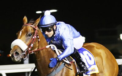Lot 137 – a filly bred for the classics!