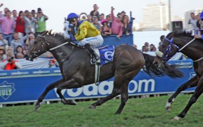 Chic yearling on offer from Boland