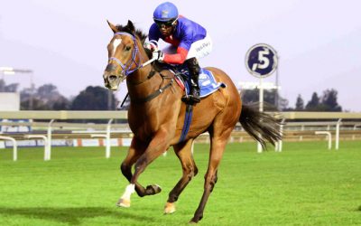 Million winner’s ½ sister a must see