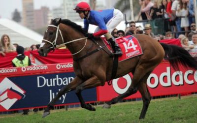 July winner’s son bred to Master opponents