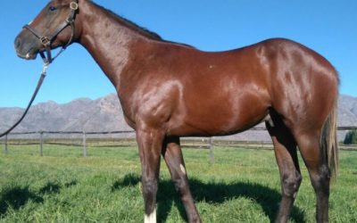 Oratorio son looks the part!