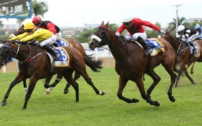 Boland Stud bred gelding wins King’s Cup