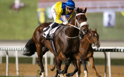Singapore star sibling to star at National Sale