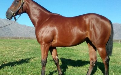 Million winner’s sister a must-see!