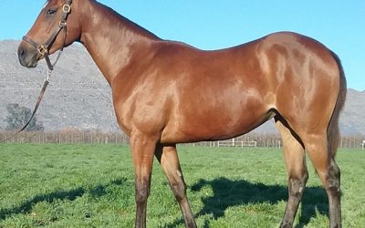 Wylie Hall daughter has plenty to offer!