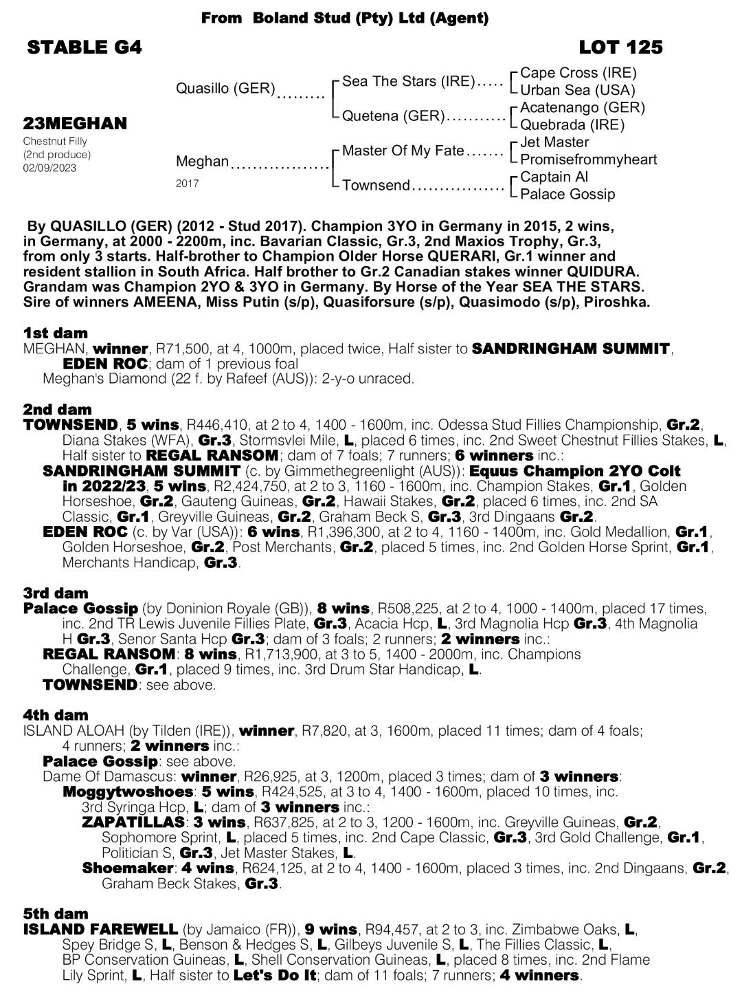 Pedigree - Lot 125 - Meghan