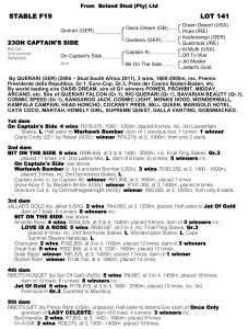 Pedigree - Lot 141 - On Captain's Side