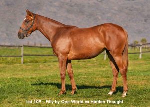 Lot 109 - August 2025