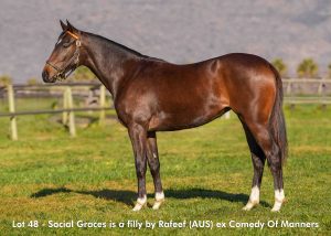 Lot 48 - August 2025