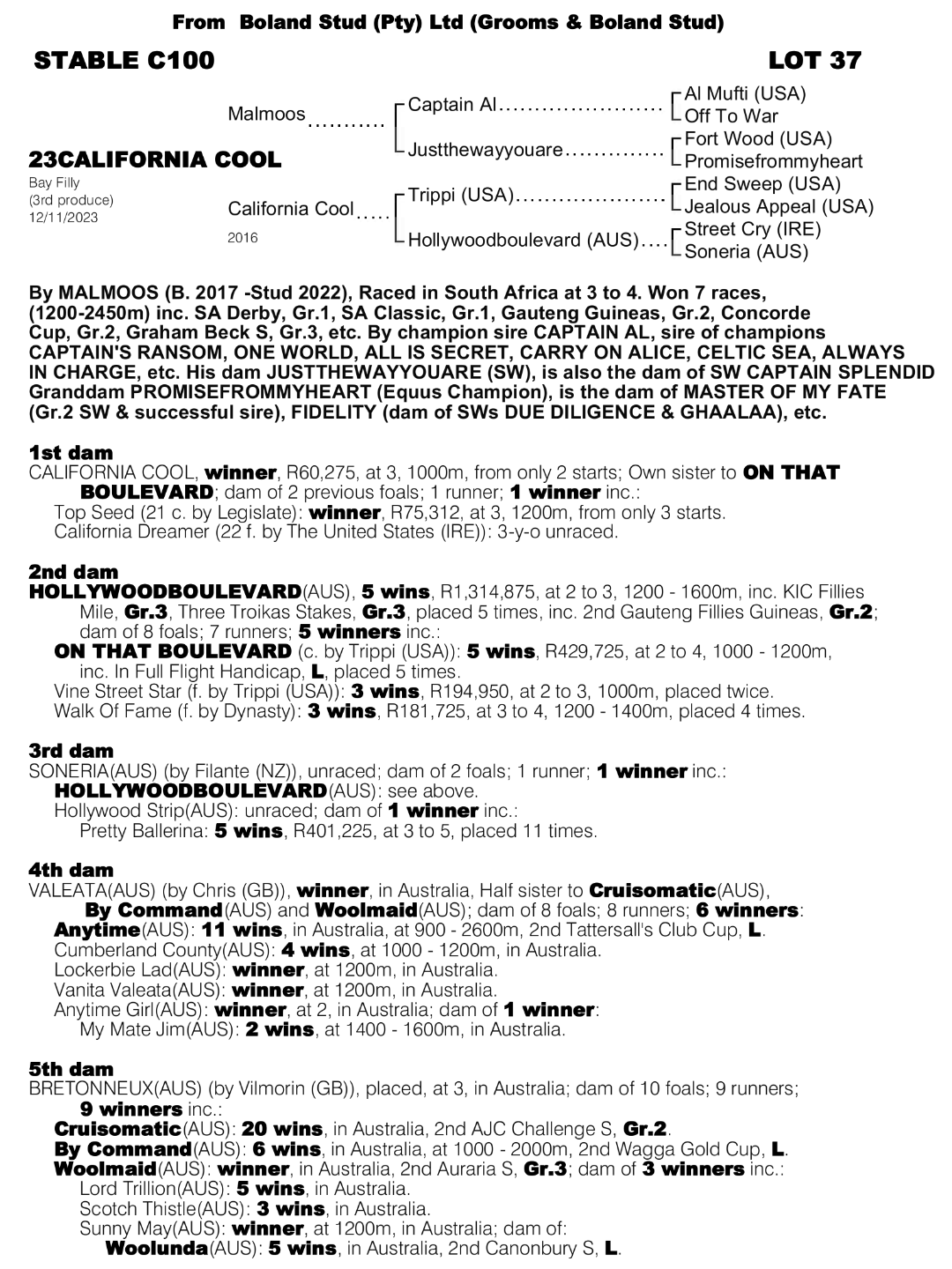 Pedigree - Lot 37 - California Cool