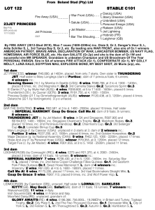 Pedigree - Lot 122
