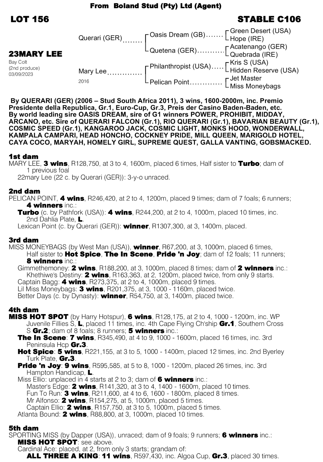 Pedigree - Lot 156