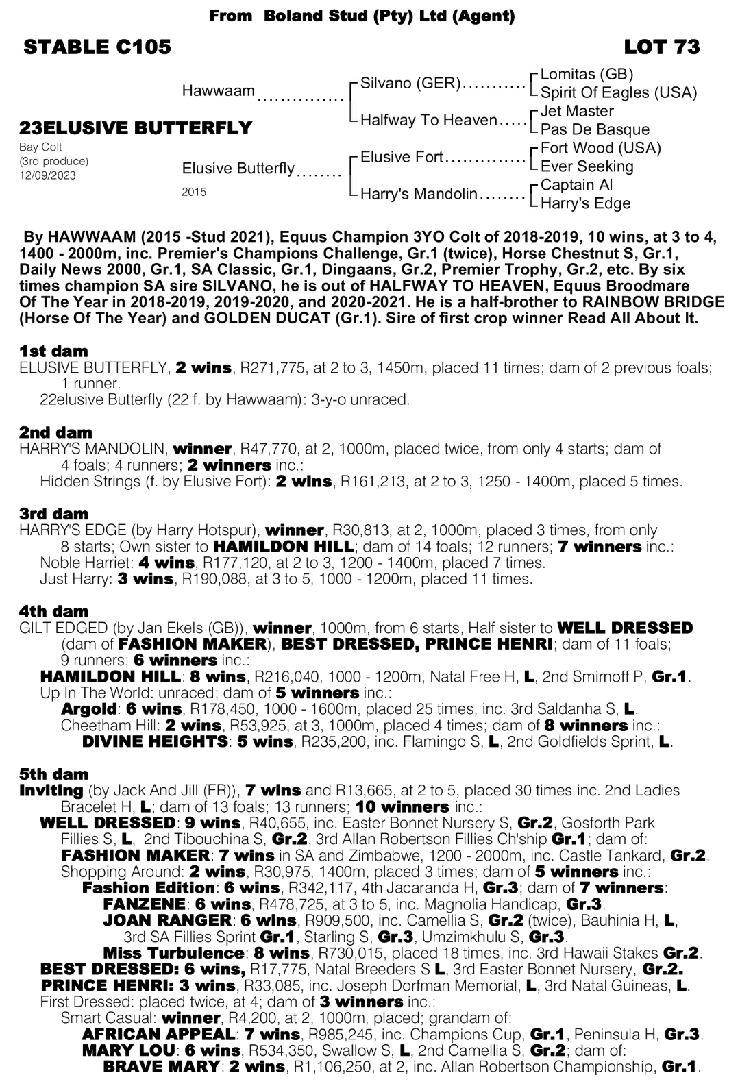 Pedigree - Lot 73
