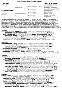 Pedigree - Lot 364