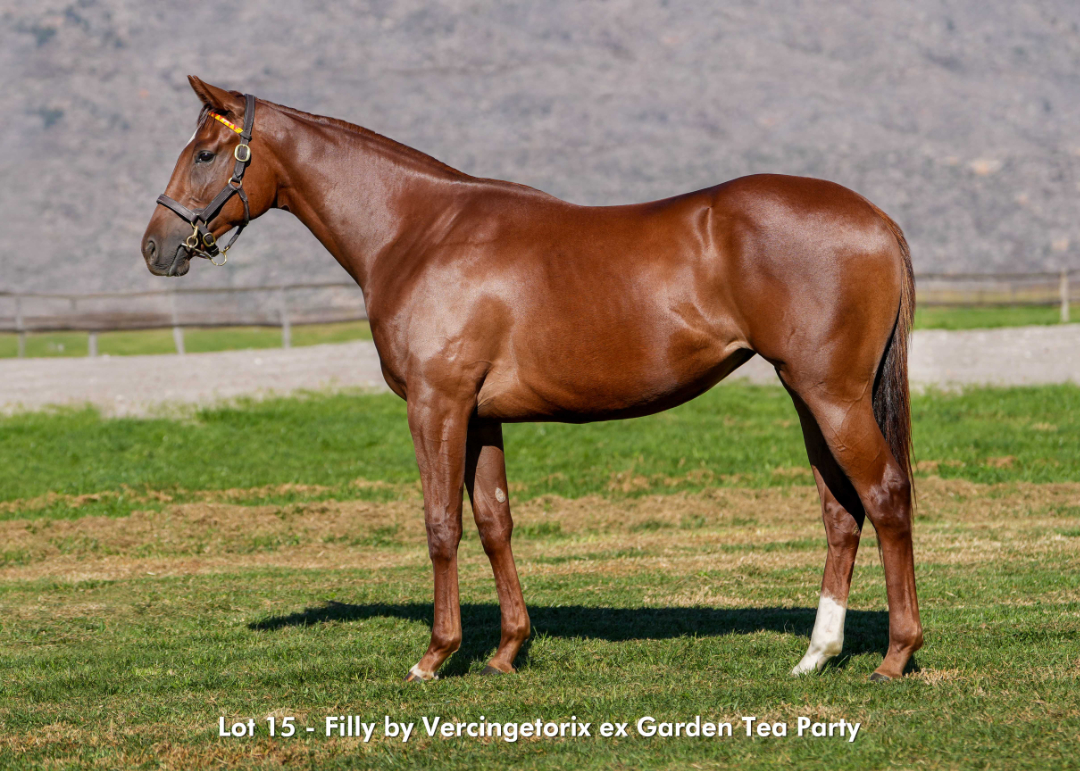 Sales - June 2026- Lot 15