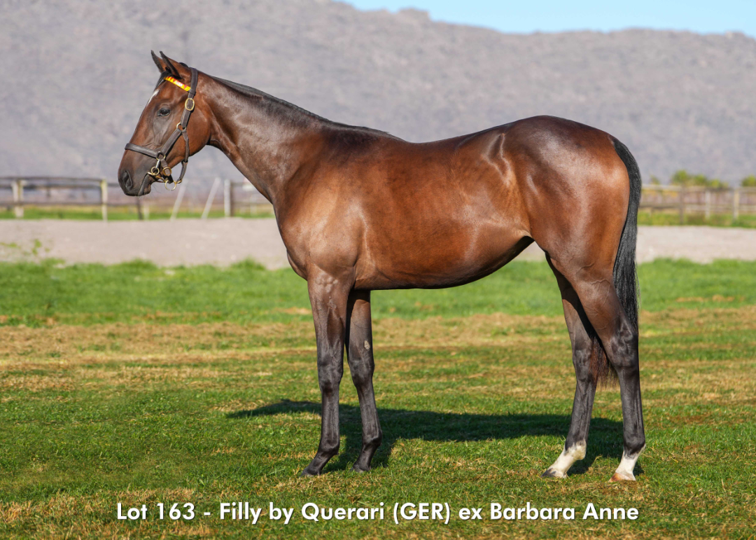 Sales - June 2026 - Lot 163