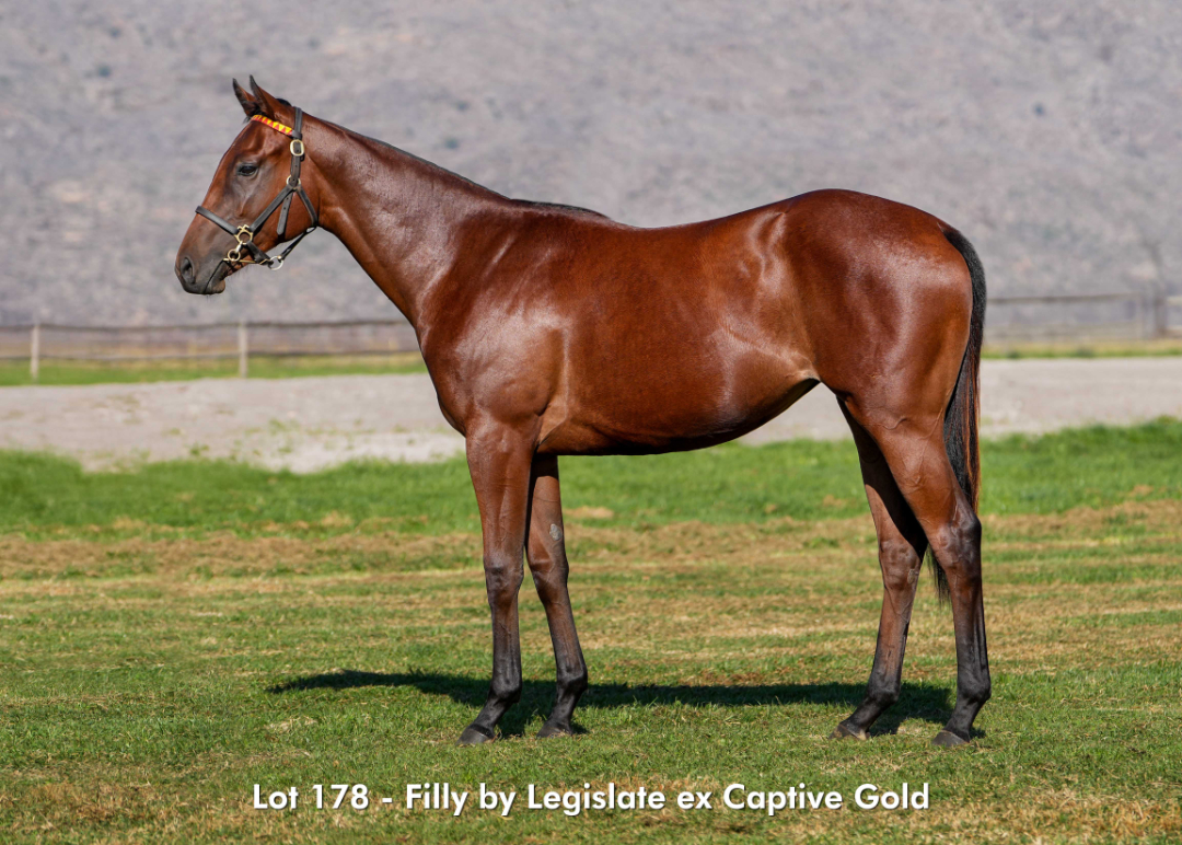 Sales - June 2026 - Lot 178