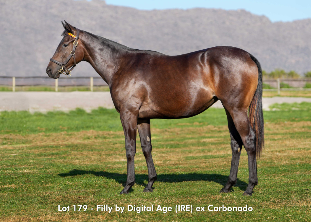 Sales - June 2026 - Lot 179