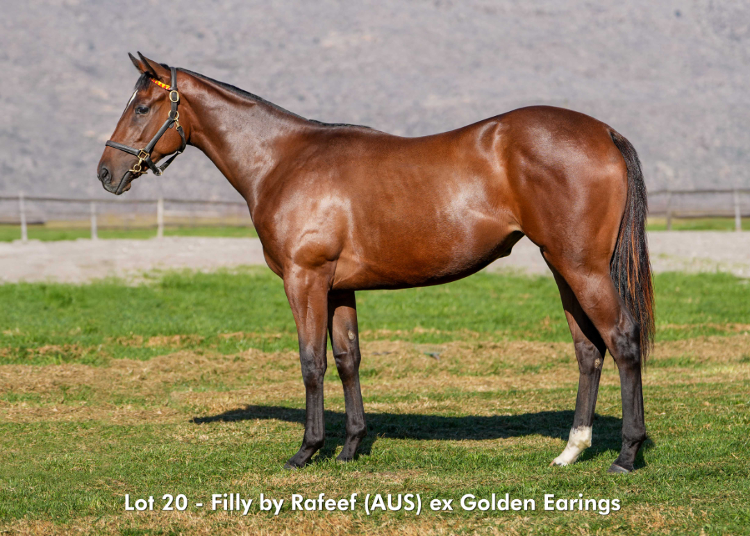 Sales - June 2026 - Lot 20