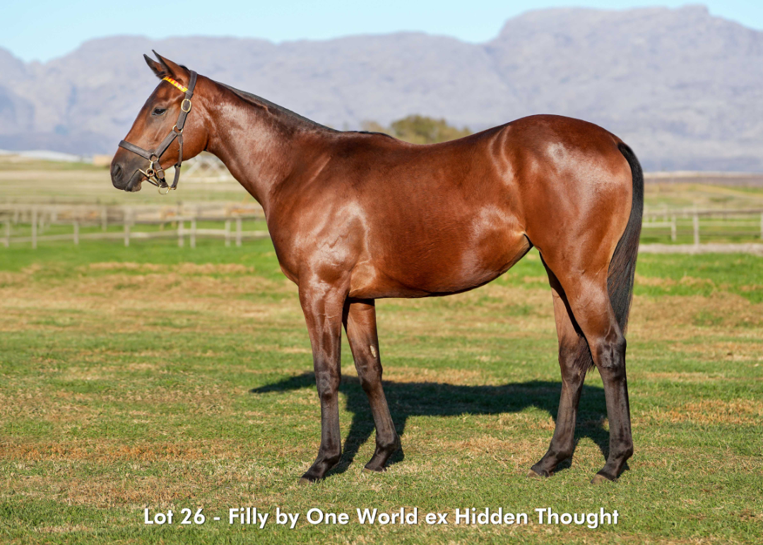 Sales - June 2026 - Lot 26