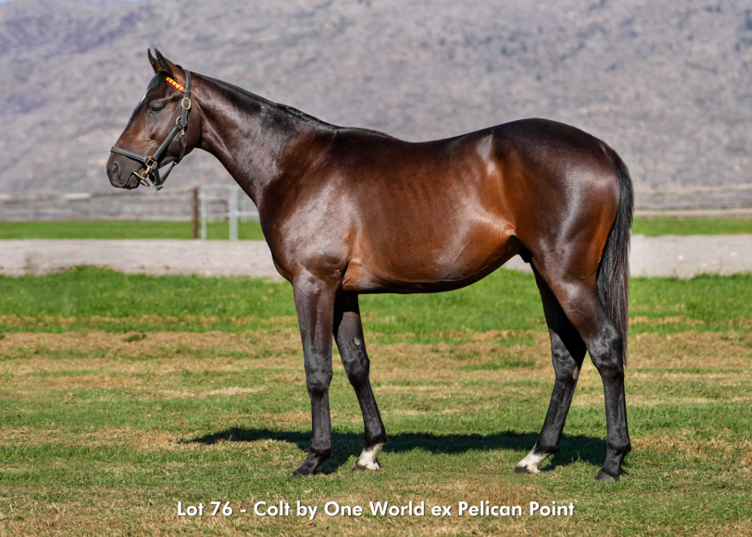 Sales - June 2026 - Lot 76
