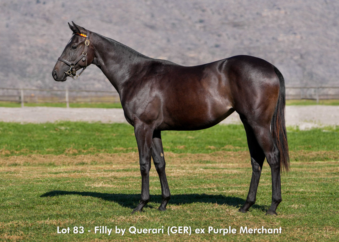 Sales - June 2026 - Lot 83