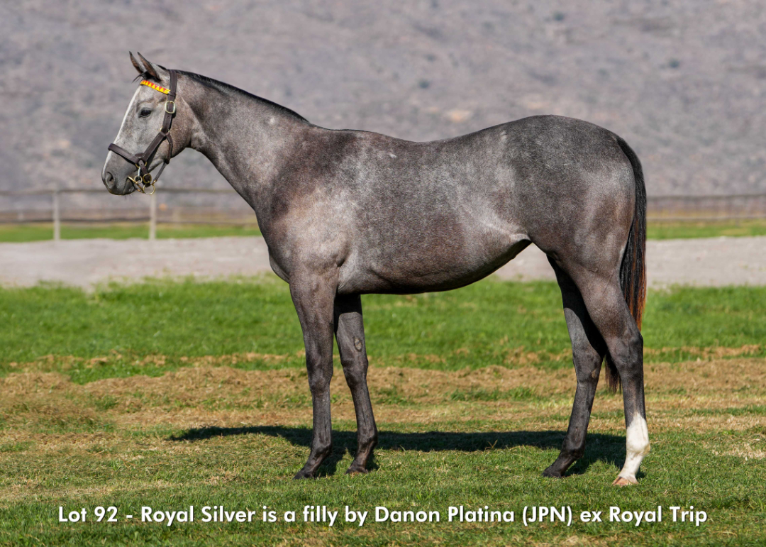 Sales - June 2026 - Lot 92