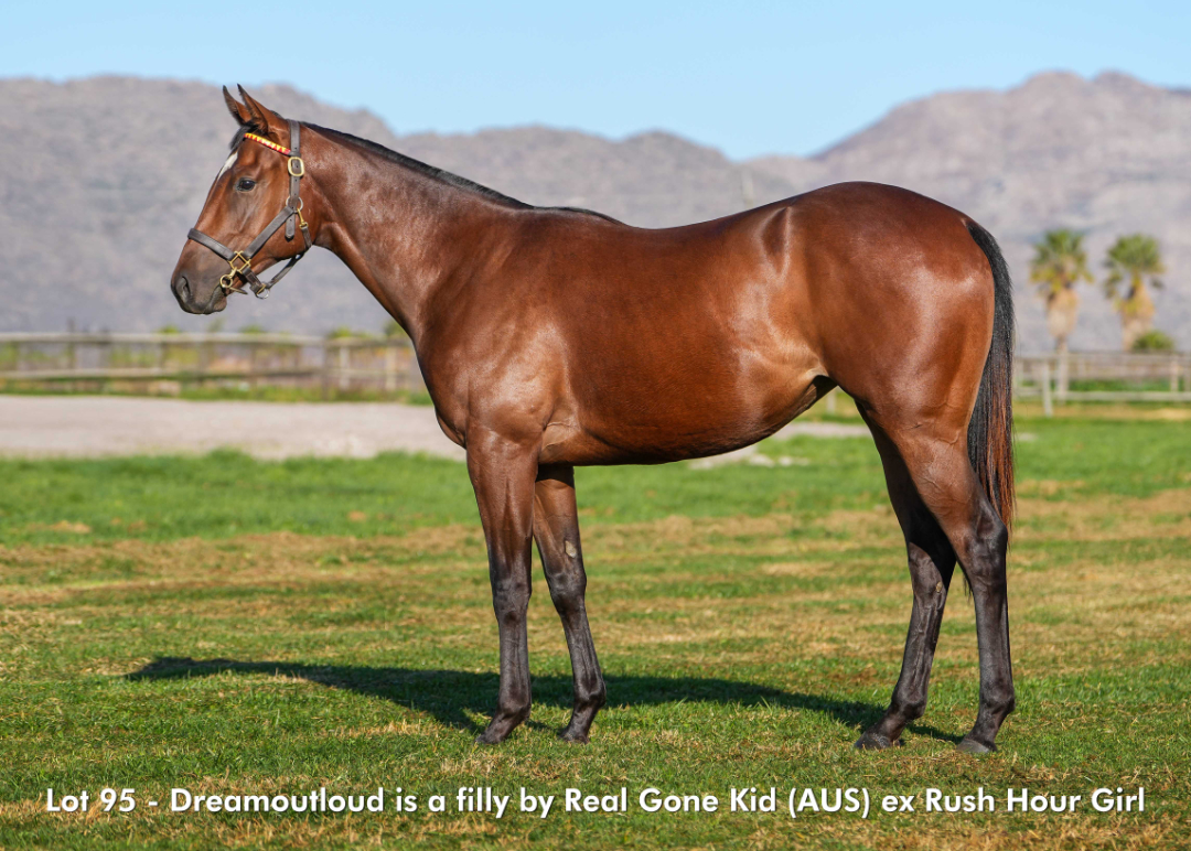 Sales - June 2026 - Lot 95