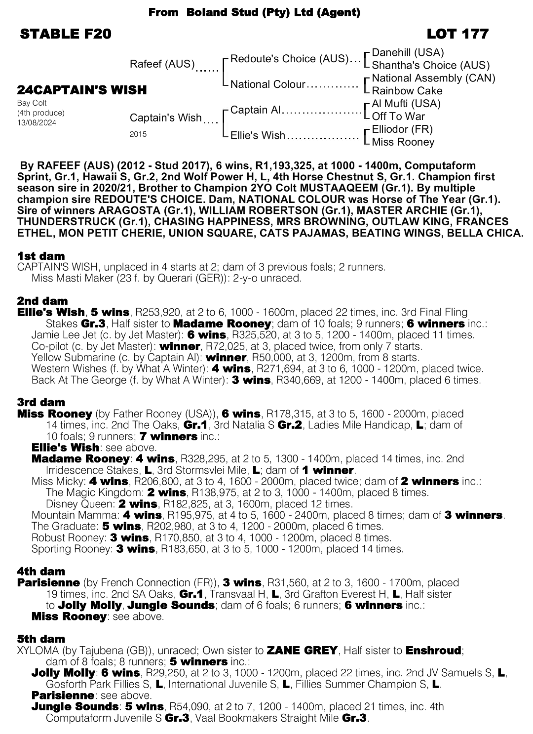 G1 Pedigree - Rafeef x French Rose