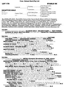 Pedigree - Lot 178 - Captive Gold