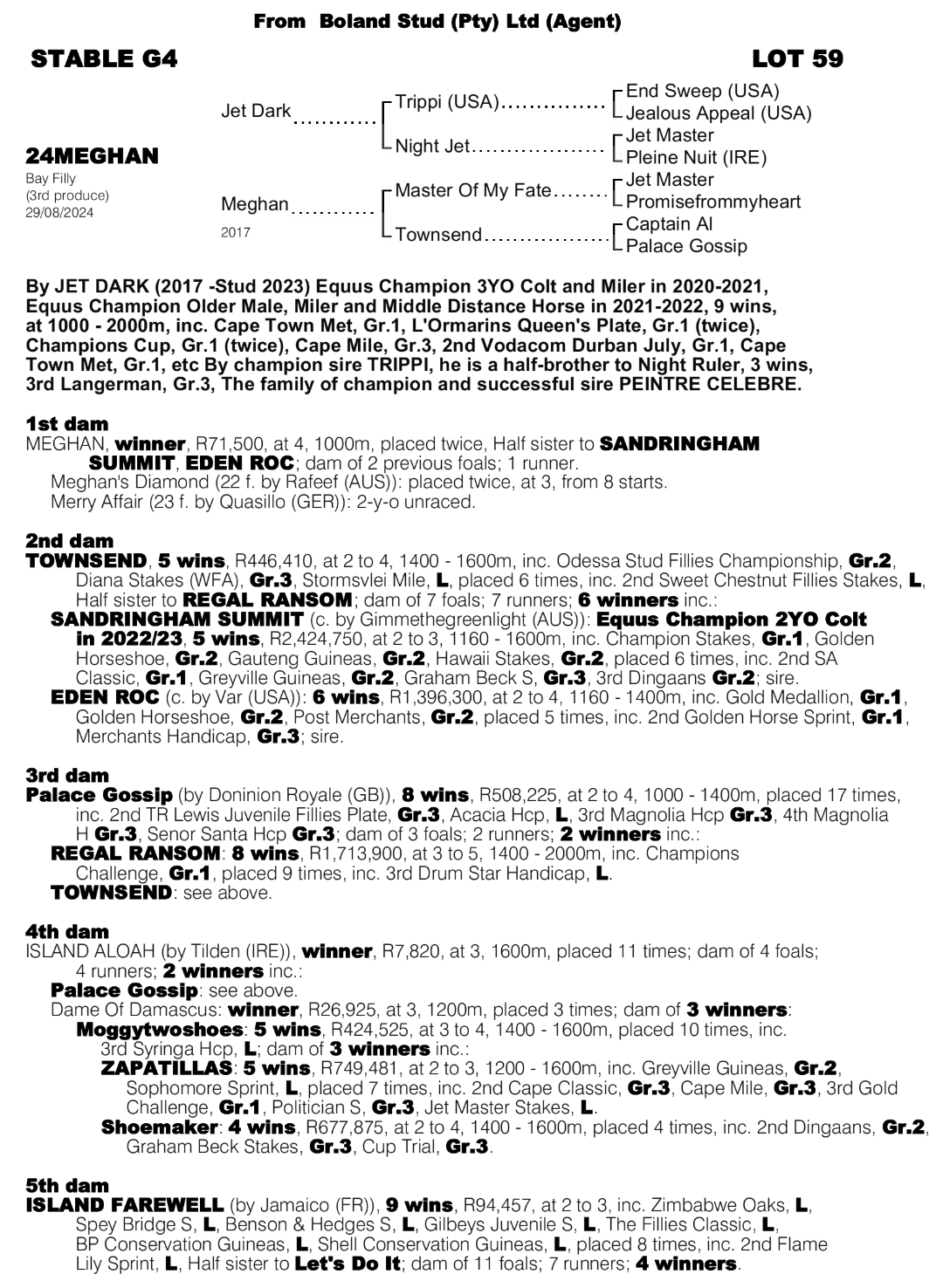 Pedigree - Lot 59 Meghan