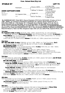 Pedigree - Lot 173 - On Captain's Side