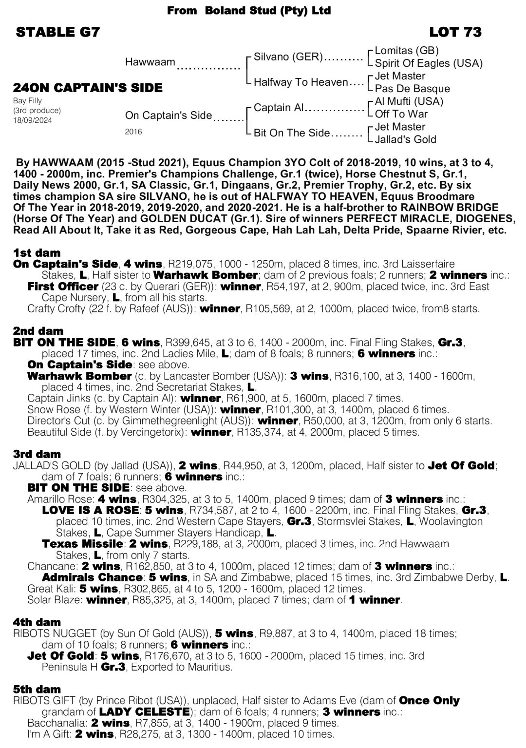 Pedigree - Lot 173 - On Captain's Side