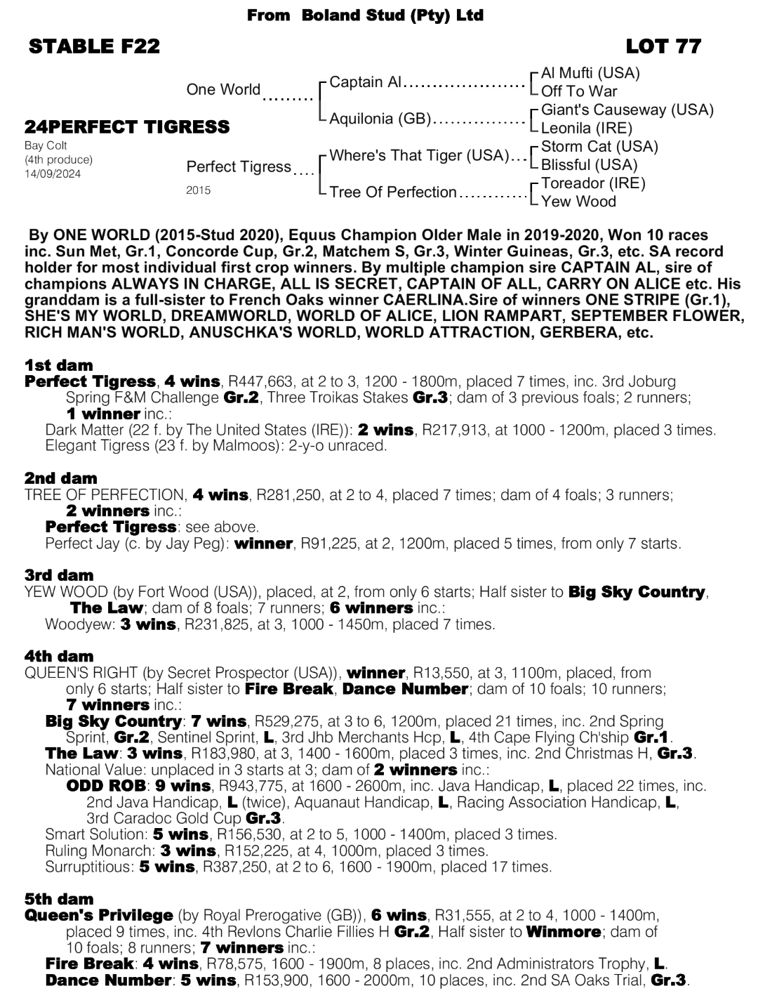 Pedigree - Lot 77 - Perfect Tigress