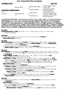 Pedigree - Lot 83 - Purple Merchant