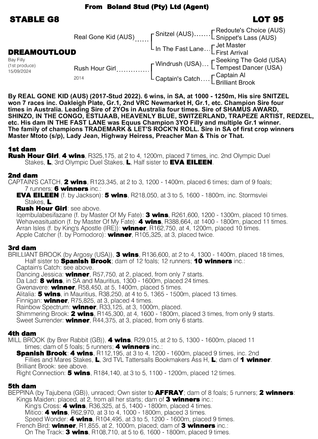 Pedigree - Lot 95 - Dreamoutloud