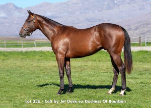 Lot 336