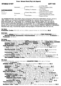 Pedigree - Lot 143