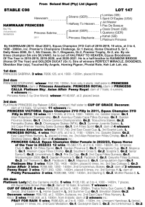 Pedigree - Lot 147 - Hawwaam Princess