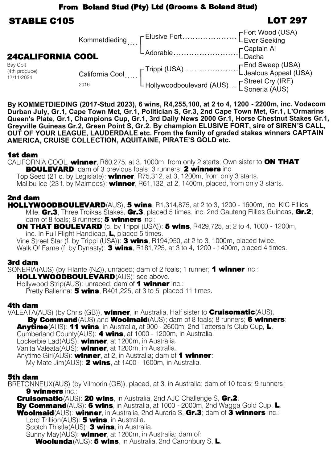 Pedigree - Lot 297 - California Cool