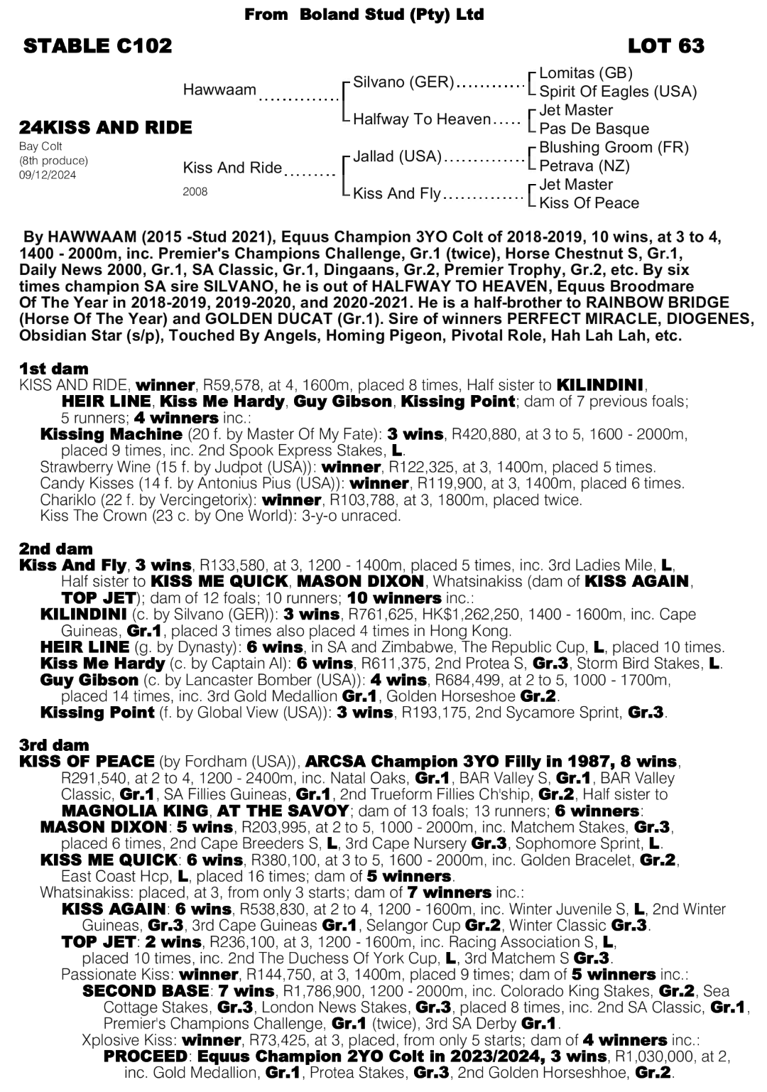 Pedigree - Lot 63 - Kiss And Ride